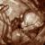 Развитие эмбриона по дням и неделям 13 недельный плод